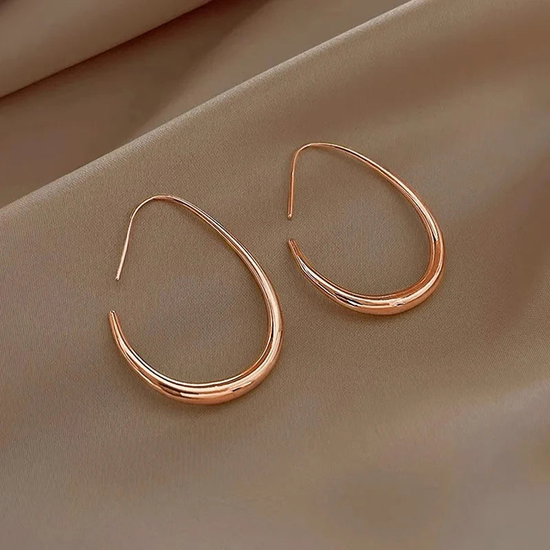 Waterdrop Statement Hoop Earrings