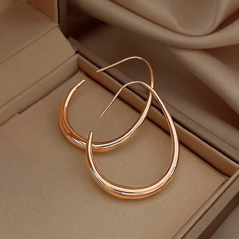 Waterdrop Statement Hoop Earrings