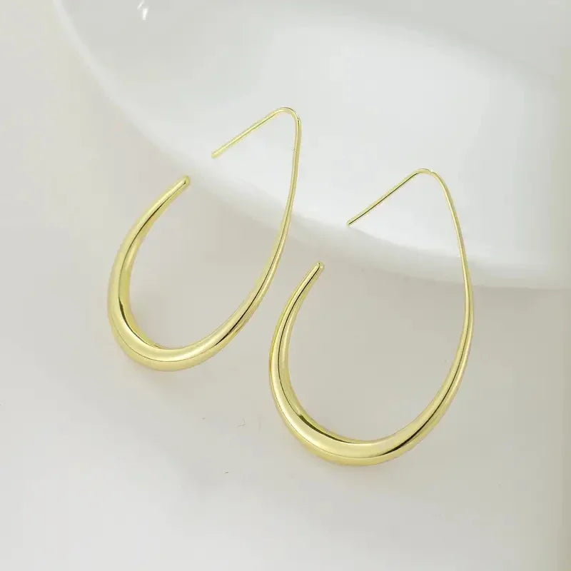 Waterdrop Statement Hoop Earrings